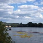 Entenrennen in der Donau